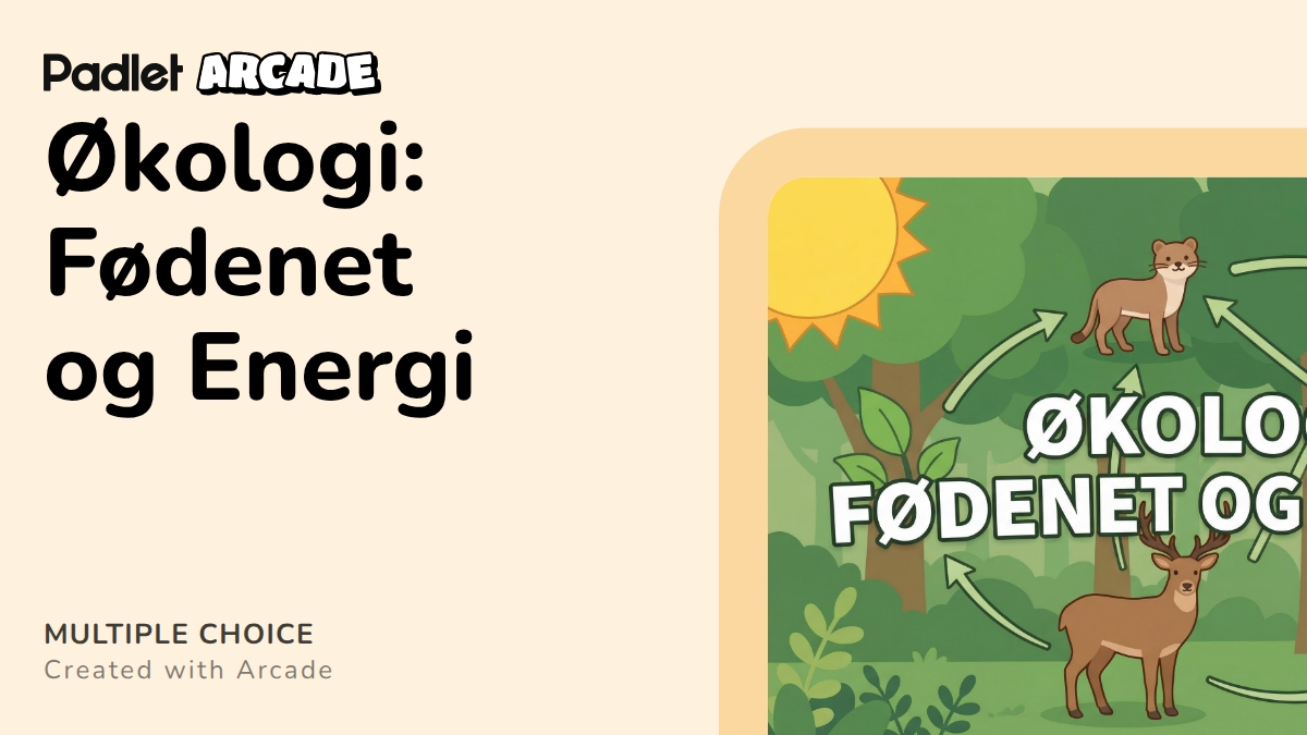 Økologi: Fødenet og Energi | Arcade