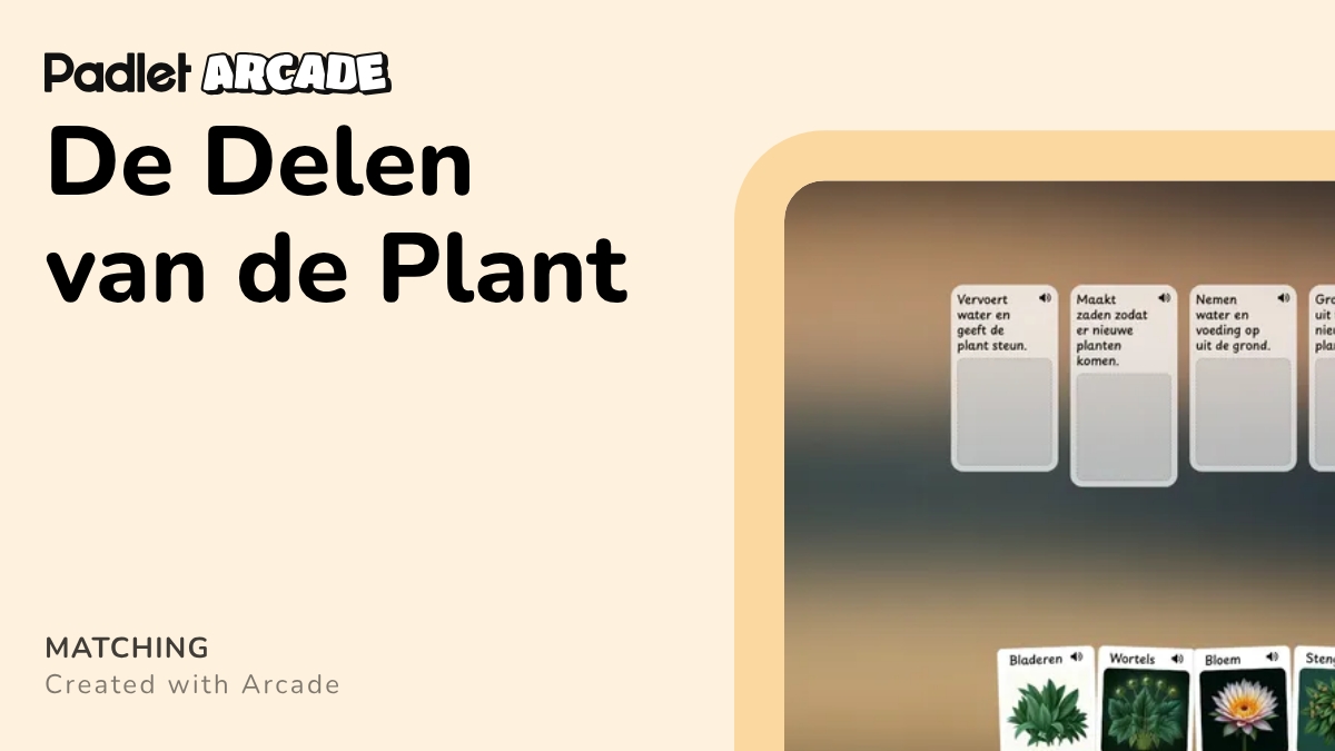 De Delen van de Plant | Arcade